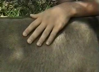 Zoophilia MILF: scopata in profondita da un cavallo