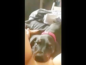 Intimate Moment: Dog and Mistress