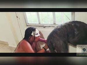 Artofzoo porno - Sale pute suce son chien avec la salope de ma maître