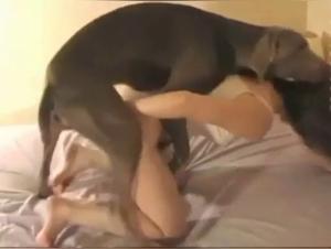 Simone: Canine Obsession - Explore forbidden desire