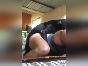 Brazilian bestial orgies
