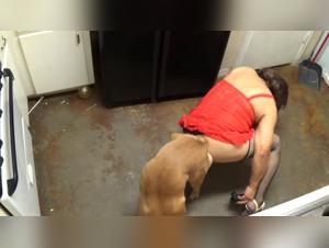 Taboo Affair: The Wild Truth of a Woman and her Dog