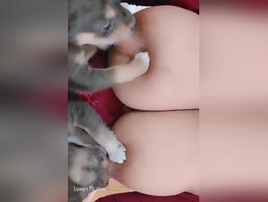 Crude Bestiality: A Delight of Blood and Sperm