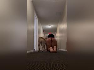 Hallway Domination: His Wild Dog Takes Charge