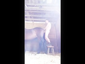 Man and horse: a bestial encounter