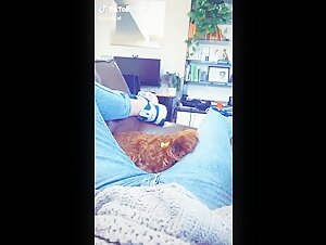 Intime Moment avec un Ami à Quatre Pattes