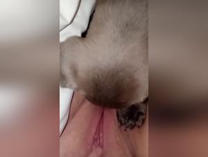 La puttana e il suo fedele cane