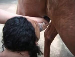 Brazilian Equestrian Double Delight