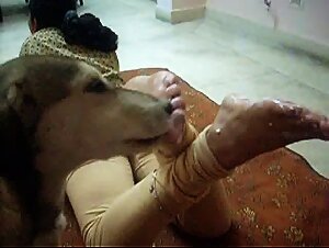 Beastiality videos of indian woman with legs