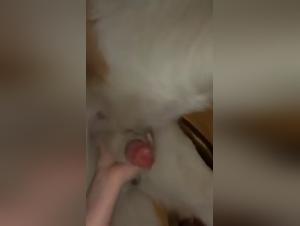 Adolescent bestiality: canine domination
