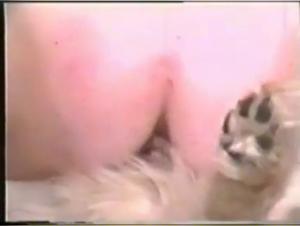 BFI Best Scenes Of Animal Passion: Unleash Your Animal Desire