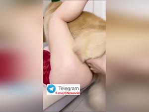 Milly and her dog: A bestial passion revealed (Part 3)