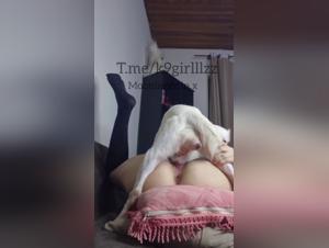 Zoofilia Hardcore: Bestiality at the Heart of Desires