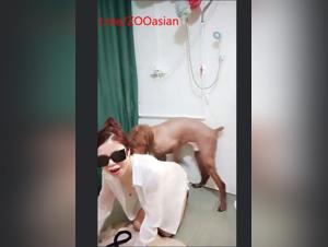 Desir Forbidden: Seductive Chinoiserie and Bestiality in the Shower