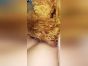 Cicciona asiatica su TikTok, si diverte con un cagnolino