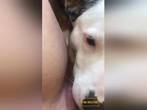 Canine Domination: Extreme Lick Dog Sessions