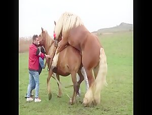 Horse2 - A bestial and intense encounter