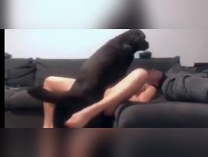 Intensive Dog Fuck: Lily's Obsession Canine