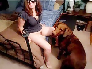 First Experience with a Dog