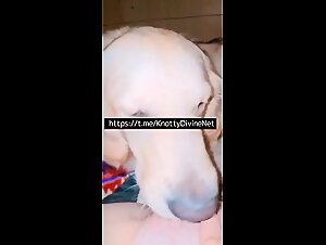 Young Girl Uses Family Dog