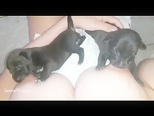 Dog and woman in an intimate relationship