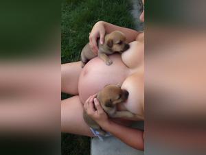 Breast Milk, Animal Delights: A Whirlwind of Sensuality