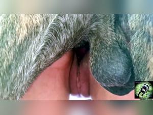 Claws for Comfort - La salope pute chien de Triana à ses jeux dévorants