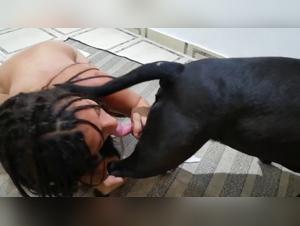 XXXZOO - Bestialité amusante avec des femmes