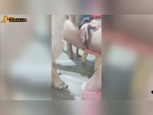 Chinois et cauchemars canins: baise endiablée avec les boules du zoo