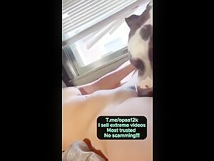 Beautiful young brunette gets licked by an adorable dog