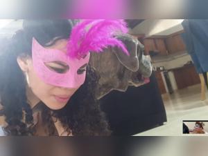 Los mejores sitios de bestialidad en linea