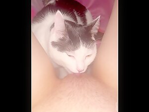 Woman and cat: a sensual encounter