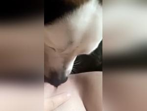 Bestial Lust: Incestuous Animal Delights