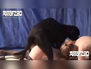 Unbridled bestiality: A woman and her dog in wild eroticism