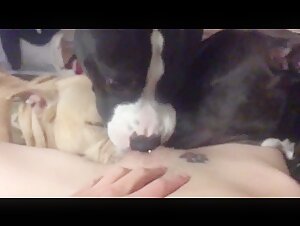 Intimate Moment: Woman and Dog