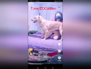 Chinese Debauchery: Live Sex with Dog