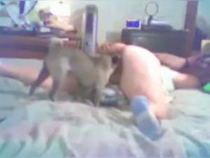 Fluffy pup unleashed on hefty broad
