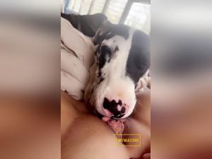Forbidden Delights: Hardcore Bestial Licking