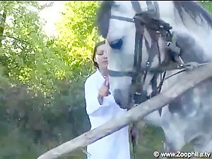 Hungarian Veterinarian and Horses