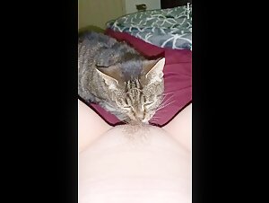 Kitty's Passion for Her Canine Companion