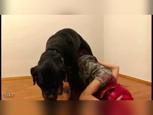 Prohibited delights: animality prevails in porn