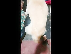 Exklusives Bestiality-Video - Jetzt ansehen