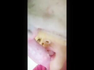 Frau und Hund: Eine verbotene Begegnung