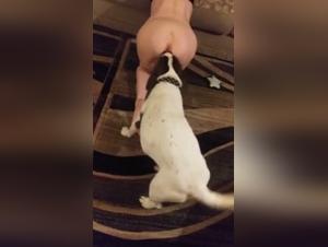 Animal Desire: Wild pleasure between woman and dog