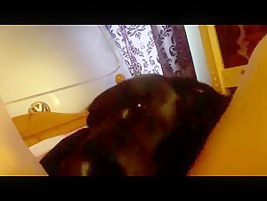 Submissive female dog gets licked by a dog