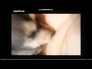 Woman and Dog: A Forbidden Meeting