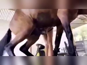 Wild orgasm: teenager and the reign of the horse