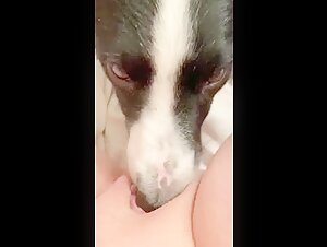 Woman and Dog: A Forbidden Meeting