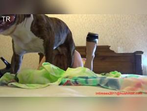 Bestial Desire: Canine Domination at Home