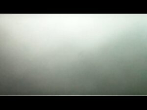 zoophilia explored: intimate insights